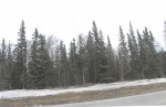  Near Milepost 23 Kenai Spur Highway , Nikiski, Alaska<br />United States