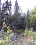  Moose Meadows Road Parcel B, Wasilla, Alaska<br />United States