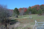  Star Creek Rd. , Morganton, Georgia<br />United States