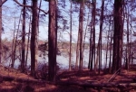  Lake Sinclair 59, Sparta, Georgia<br />United States