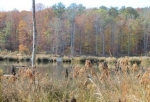  9171 Kettle Overlook Dr. , Villa Rica, Georgia<br />United States