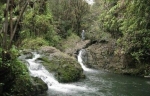  Lepoloa Rd. , Hakalau, Hawaii<br />United States
