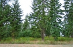  9049 N. Fieldstone Drive , Hayden, Idaho<br />United States