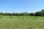  S. 550 W. , Columbus, Indiana<br />United States