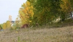  Mystic Meadows Subdivision Lot #1, Glenwood, Iowa<br />United States