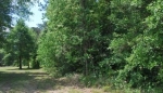  McLin Road/Preston Point Street Track B-3, Livingston, Louisiana<br />United States