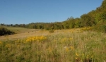  Avilton-Lonaconing Road Parcel 6, Garrett County,, Maryland<br />United States
