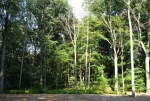  65th St at Goshorn Lake , Holland, Michigan<br />United States