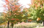  next to 4496 - 4th street , Caledonia, Michigan<br />United States