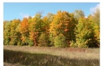  Cunningham & Wood Rd. 19, Mancelona, Michigan<br />United States
