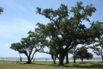  530 West Beach Boulevard , Long Beach, Mississippi<br />United States
