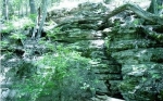  Hwy 160 , Rueter, Missouri<br />United States