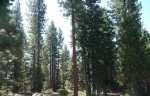  727 Martis Peak Road , Incline Village, Nevada<br />United States