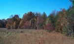  6777 Little Mountain Rd , Sherrills Ford,, North Carolina<br />United States