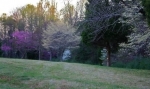  Steepleton Colony Court , Greensboro, North Carolina<br />United States