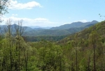  Ashewood Community Lot 8, Asheville, North Carolina<br />United States