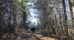  Hidden River Rd. , Statesville, North Carolina<br />United States