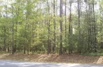  Live Oak Lane, Pamlico Plantation , Washington, North Carolina<br />United States