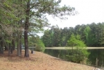  Live Oak Lane, Pamlico Plantation , Washington, North Carolina<br />United States