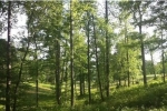  Silver Creek Plantation Lot 100, Morganton, North Carolina<br />United States
