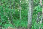  Windermere Woods Lot 7, Franklin, North Carolina<br />United States