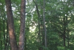  Fort Butler St. , Murphy, North Carolina<br />United States
