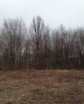  10628 Reed Rd. , Monclova, Ohio<br />United States