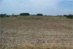  8075 Brown Rd , Curtice, Ohio<br />United States
