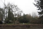  B Street between 16th & 17th Ave. , Forest Grove, Oregon<br />United States