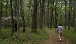  Frenchtown Road , Milford, Pennsylvania<br />United States