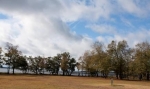  Riggs Lane , Hollywood, South Carolina<br />United States