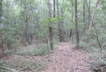  Hidden Cove Lane , Ridgeville, South Carolina<br />United States