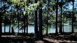  841 Woodgate Road , Camden, South Carolina<br />United States