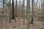  Westwind Subdivision , Jackson, Tennessee<br />United States