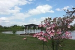  Lots 108 + 109 Wild Pear Trail , Dandridge, Tennessee<br />United States