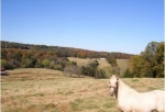  County Road 70 , Riceville, Tennessee<br />United States