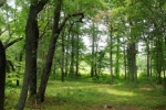  Lot 36 Yarmouth Drive , Cape Charles, Virginia<br />United States