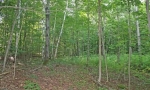 Delfrate Road , Huntington, Vermont<br />United States