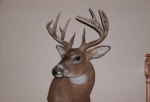  Behind 32375 Hwy 130 , Lone Rock, Wisconsin<br />United States