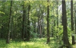  countyline church rd , Woodford, Virginia<br />United States