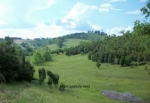  Lower Grassy Creek Rd , Nickelsville, Virginia<br />United States
