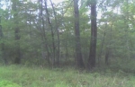  Charles Town Pike , Purcellville, Virginia<br />United States