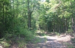  Tax Map # 12 91 Land Only, Louisa, Virginia<br />United States