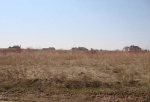 Lot 3 Sandy Beach Farm , Belgium, Wisconsin<br />United States
