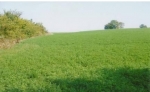  Lot #13 Country View Meadows , Monticello, Wisconsin<br />United States