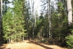  Herdner Road , Eagle River, Wisconsin<br />United States