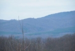  FANNY COOK ROAD , SNOW CREEK, Virginia<br />United States