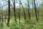  Rich Patch Rd. , low moor, Virginia<br />United States