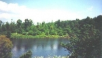  Lot 19 Barbara Road Lake Anna Bumpass , Mineral, Virginia<br />United States