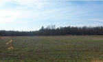  1 plus acre building lot , Branchville, Virginia<br />United States